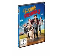 Cinq amis 2 | DVD | NEUF dans son emballage d'origine
