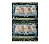 Cinq Chiots Chow-Chow Mignons, Puzzles de 1000 pièces en Bois, Jeu Familial, décoration Murale pour Adultes et Adolescents