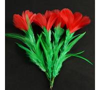 Cinq en 1 Fleur - Tour de magie en plumes Une fleur à cinq tours de scène Gimmicks Accessoires de comédie apparaissant magique