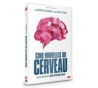 Cinq nouvelles du cerveau