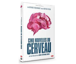 Cinq nouvelles du cerveau