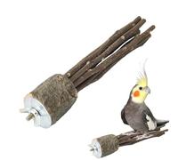 Cintre en bois pour perroquets - Support en bois pour perroquets - Cintres pour perruches pour cage | Perroquet naturel pour perroquets, poteau pour support pour oiseaux, fourchette pour meules pattes