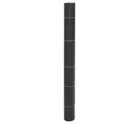 CIOURSTO Barrière de Jardin à Membrane Contre Les Mauvaises Herbes, Tissu Noir, Polypropylène Durable pour Un Contrôle Efficace des Mauvaises Herbes, Santé du Sol (1 x 10 m (100 g/m²)