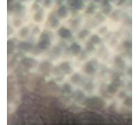 Carlos Cipa – Ourselves, As We Are