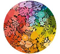 Circle Colors - Tropical - Puzzle 500 Pièces