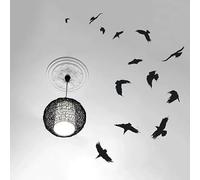 Circleing Crows Autocollant mural Nature Flock of Birds Decals de plafond Decals Pellicule de transfert autocollant amovible 58x42cm