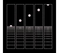 Circles Around The Sun – Let It Wander – Vinyle