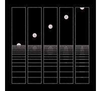 Circles Around The Sun – Let It Wander – Vinyle