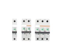 Circuit Breaker AC MCB Short Overload Protector 35mm Din Rail 1P 6-63A 220V 230V 50/60HZ MQXFCZUX(2p,25A)