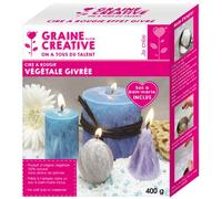 Cire à bougie effet givré 400 g - graine créative {couleur} G