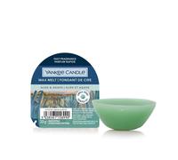 Cire À Fondre Wax Melt Aloe Et Agave Yankee Candle