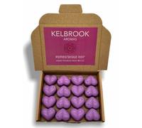 Cire parfumée - Grenade noire | Lot de 16 | Parfum intense | Fabriqué au Royaume-Uni | Sans plastique | Végétalien