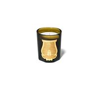 Cire Trudon 9.5 Candle SPIRITUS SANCTI by Cire Trudon