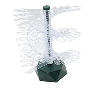 Cirraorive Présentoir à Ongles, étagère Transparente En Spirale, Outils de Manucure, Capsules D'entraînement, Capsules pour Ongles, VERT