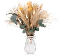 Cirulli Bouquet de Fleurs sèches,déco Bohème Décoration Naturelle pour Salon,Pampas sechees Decoration, Fleurs sèches pour Bricolage Chambre à Coucher & Table, Tons Beige Decoration Maison