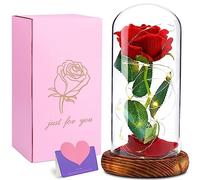 Cirulli Rose Eternelle sous Cloche,La Belle et la Bête Rose,avec Lumineuse LED, Dôme en Verre et Base en Bois, Fête des Mères Saint-Valentin Cadeaux Anniversaire,Fleurs préservées