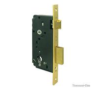 Cisa 1.5 C110.60.0 - C. Bois 60 mm Loquet + levier laiton s/c