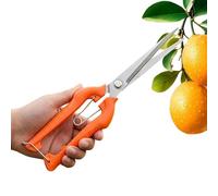 Cisaille à branches - Résistant à la rouille - Coupe-branches - Pour amincir et cueillir les fleurs, les arbres, les haies, la pelouse dans le jardin, la cour, l'aménagement paysager et le traitement