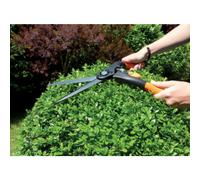 Cisaille à buis, grand, longueur: 435 mm