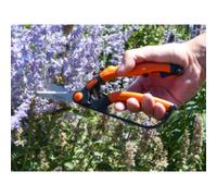 Garten Primus – Élagueur pour buissons G – Compatible Fein, sculpture de buissons
