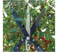 Cisaille à haies 'Multi-coupes'