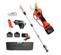 Cisailles de jardin électriques, Cisaille électrique sans fil 25V 40mm avec prolongateur de portée 5 pouces tronçonneuse bonsaï coupe-branche(Shears Pole)