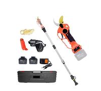 Cisailles de jardin électriques, Sécateur sans fil 25V 40mm sécateur électrique avec poteau d'extension de portée électrique 5 pouces scie à chaîne bonsaï élagage coupe-branche(Shears Pole)