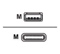 Cisco - câble USB USB - 4 m
