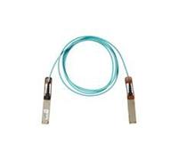 Cisco QSFP-100G-AOC1M= câble InfiniBand et à fibres optiques 1 m