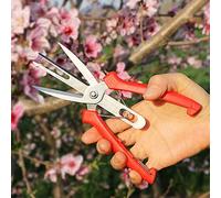 Ciseaux à éclaircir les fruits et les fleurs à double port, sécateur de jardin Ciseaux avec poignée confortable, parfait pour tailler les plantes, herbes hydroponiques, cueillir des fleurs