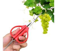 Ciseaux à raisins, ciseaux de coupe de raisins | Pince à ciseaux 2 en 1 pour raisins - Sécateur professionnel en acier inoxydable avec pince à épiler et poignée ergonomique, maximisez la praticité