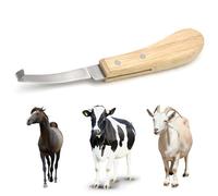 Ciseaux à sabots de chèvre - coupe-ongles pour moutons, coupe-sabots à bords tranchants en acier inoxydable Tondeuse à sabots avec manche en bois pour chevaux, moutons, chèvres et vaches Tondeuse à sa