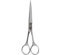 Ciseaux Coiffeur Inox 16 Cm