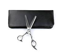 Ciseaux de coiffeur professionnels à grosses dents 10/16/25/30 dents en forme d'arête de poisson pour effiler/mélanger/texturer 15,2 cm Argenté 6 Inch