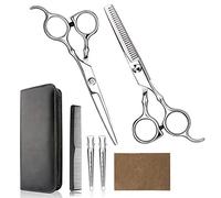 Ciseaux de coiffeur professionnels pour la maison/coiffeur/salon de coiffure avec peigne et étui, pour homme/femme, argenté