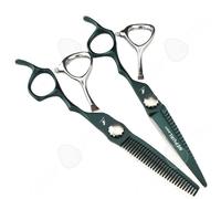 Ciseaux de coiffure 2pcs 6 pouces professionnel ultra tranchants et précis Inox Kits de ciseaux coiffure pour la mise en forme