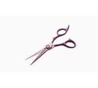 Ciseaux De Coiffure E-KWIP+ Burgundy Touch BGT-60 6,0 Pouces Titan Revêtu