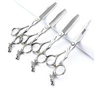 Ciseaux de Coiffure Professionnels Pointus en Argent 440c Haute dureté, 6 Pouces, pour Salon de Coiffure