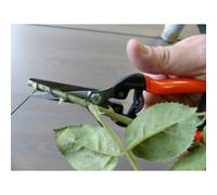 Ciseaux de jardin 'Ciseaux magiques'