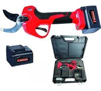 Ciseaux d'élagage à piles