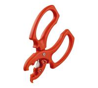 Ciseaux floraux,Acier inoxydable robuste,Idéal pour fleurs fraîches | Pour jardin, intérieur, fleuriste : taille, coupe, élagage, composition