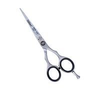 Ciseaux professionnels en acier inoxydable Eurostil 5'5