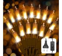 Ciskotu Guirlande Lumineuse Extérieur-Intérieur de EU Plug, 4.35M 20LED Guirlande Lumineuse IP44 Étanche, Décoration avec interrupteur, adaptée pour chambre, Noël, fête, jardin, camping（noir）