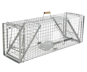 cit Piège Alive Predator Super