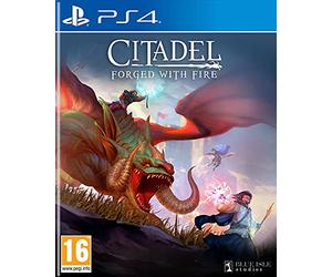 Citadel : Forged with Fire pour PS4