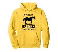 Citation humoristique « Horse Not Now My Horse Is More Important » Sweat à Capuche