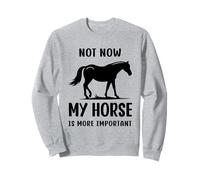 Citation humoristique « Horse Not Now My Horse Is More Important » Sweatshirt