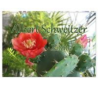 Citations d'Albert Schweitzer, Version française (Calendrier mural 2026 DIN A3 portrait), Calendrier CALVENDO mensuel