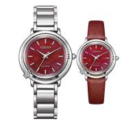Citizen Montre Argent Analogique Femmes EM1090-78X