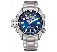 Citizen Watch JP2000-67L,Argent